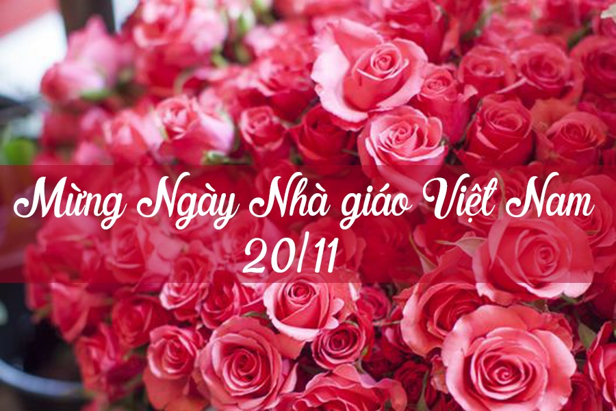 Lời chúc 20/11 tiếng Trung