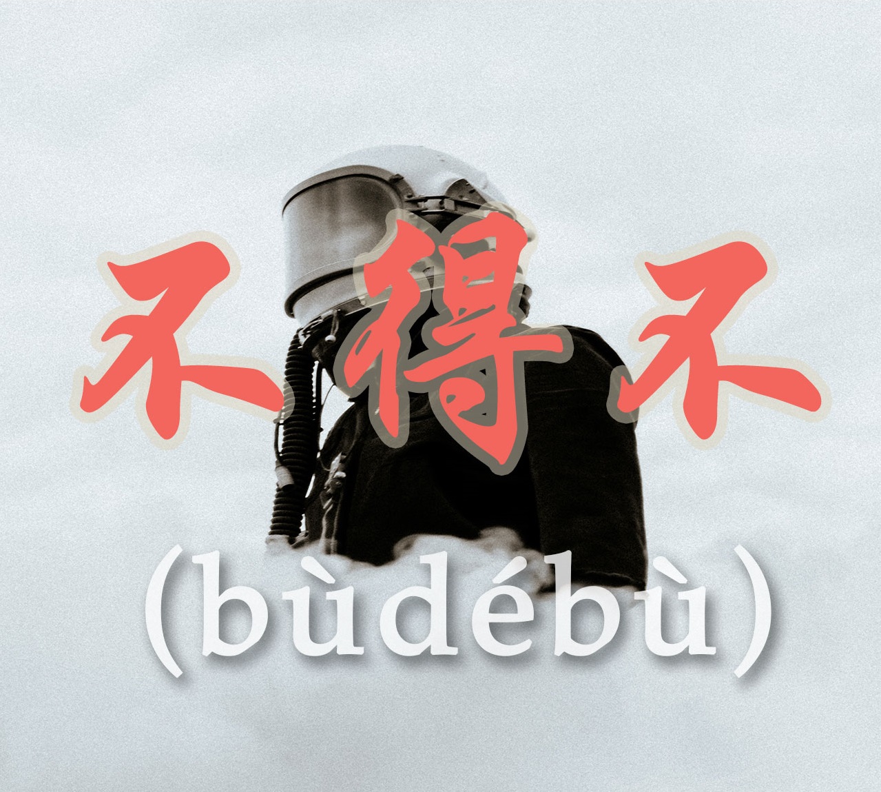 PHÂN BIỆT “不得已”VÀ“不得不”