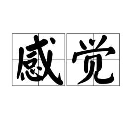 感觉gǎnjué