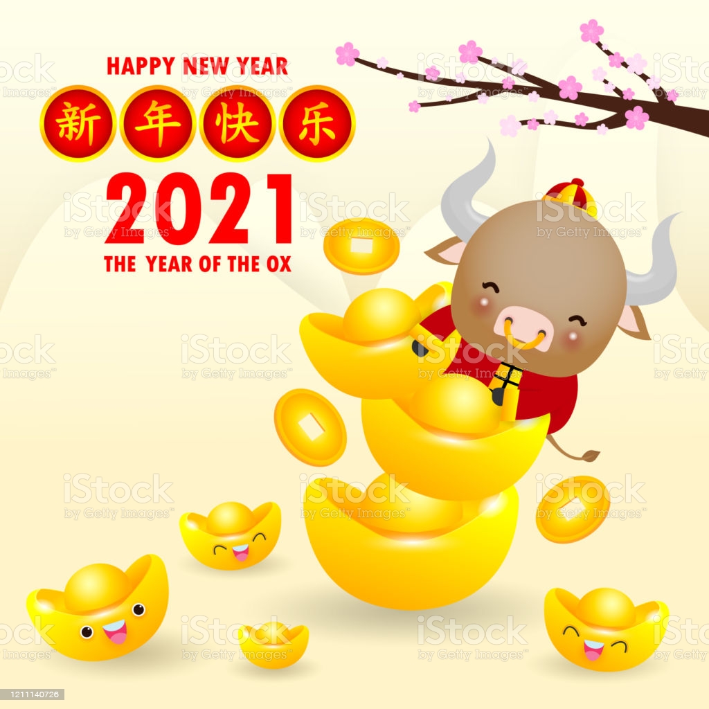 新年 xīnnián