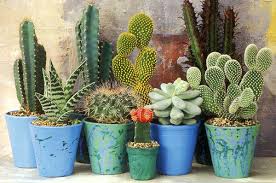TÌM HIỂU VỀ CÁC LƯỢNG TỪ TRONG TIẾNG TRUNG