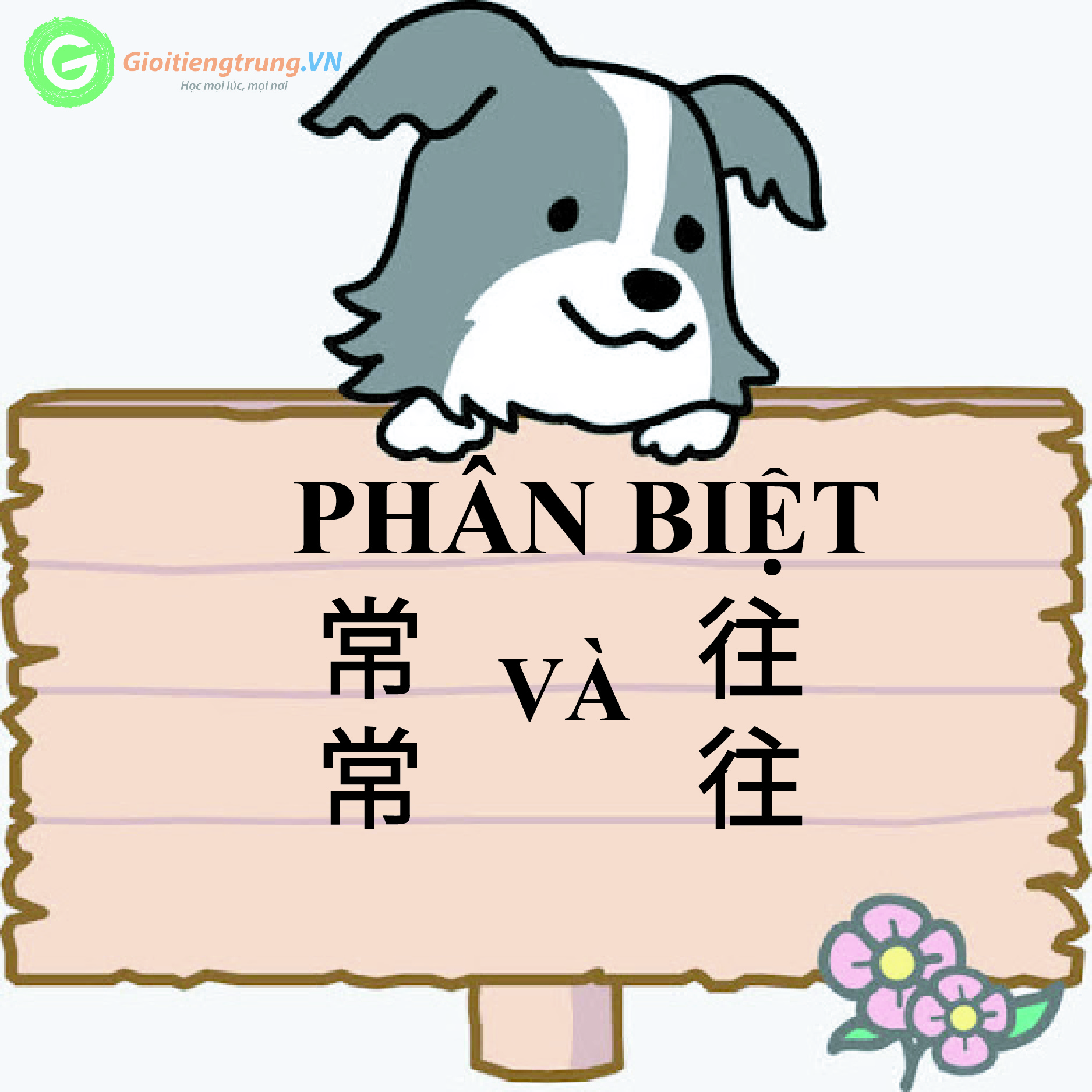 Phân biệt 常常 [chángcháng] và 往往 [wǎngwǎng]